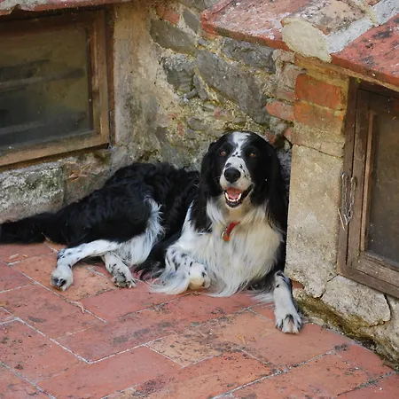 Bauernhof A Casa Del Tosi *